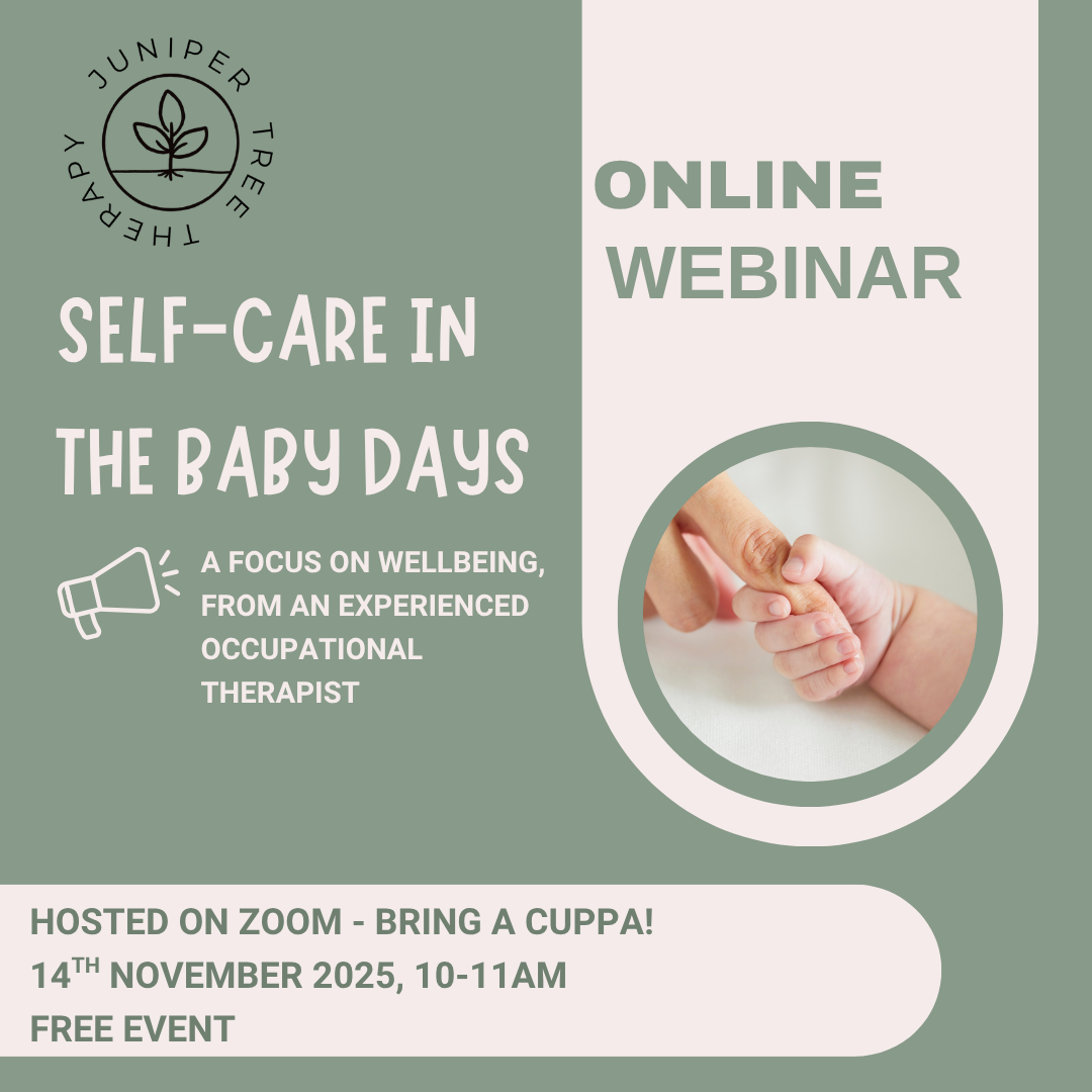 Blue and Green Webinar Instagram Post